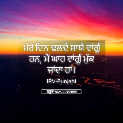 Picture 05 - ਜ਼ਬੂਰ 102:11 PANIRV - ਮੇਰੇ ਦਿਨ ਢਲਦੇ ਸਾਯੇ - Bible Verse Picture