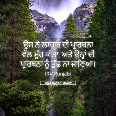 Picture 05 - ਜ਼ਬੂਰ 102:17 PANIRV - ਉਸ ਨੇ ਲਾਚਾਰ ਦੀ - Bible Verse Picture