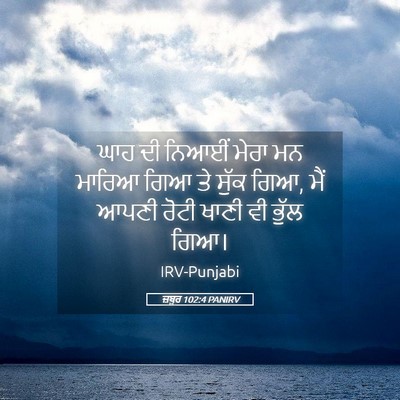 Picture 05 - ਜ਼ਬੂਰ 102:4 PANIRV - ਘਾਹ ਦੀ ਨਿਆਈਂ ਮੇਰਾ - Bible Verse Picture