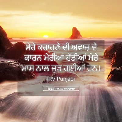 Picture 05 - ਜ਼ਬੂਰ 102:5 PANIRV - ਮੇਰੇ ਕਰਾਹਣੇ ਦੀ - Bible Verse Picture
