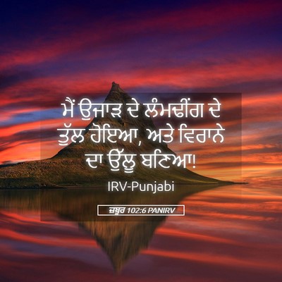 Picture 05 - ਜ਼ਬੂਰ 102:6 PANIRV - ਮੈਂ ਉਜਾੜ ਦੇ - Bible Verse Picture