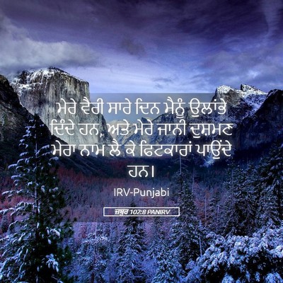 Picture 05 - ਜ਼ਬੂਰ 102:8 PANIRV - ਮੇਰੇ ਵੈਰੀ ਸਾਰੇ ਦਿਨ - Bible Verse Picture