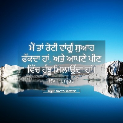 Picture 05 - ਜ਼ਬੂਰ 102:9 PANIRV - ਮੈਂ ਤਾਂ ਰੋਟੀ - Bible Verse Picture