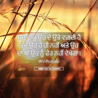 Picture 05 - ਜ਼ਬੂਰ 103:16 PANIRV - ਜਦ ਵਾਯੂ ਉਹ ਦੇ ਉੱਤੇ - Bible Verse Picture