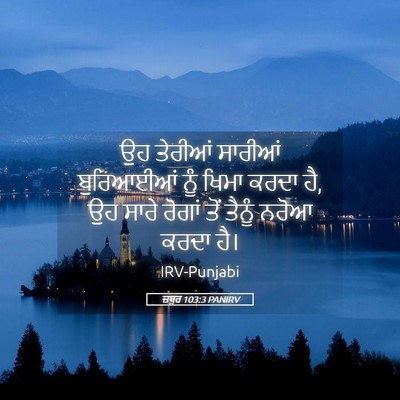 Picture 05 - ਜ਼ਬੂਰ 103:3 PANIRV - ਉਹ ਤੇਰੀਆਂ ਸਾਰੀਆਂ - Bible Verse Picture