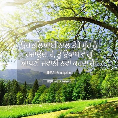 Picture 05 - ਜ਼ਬੂਰ 103:5 PANIRV - ਉਹ ਭਲਿਆਈ ਨਾਲ ਤੇਰੇ - Bible Verse Picture