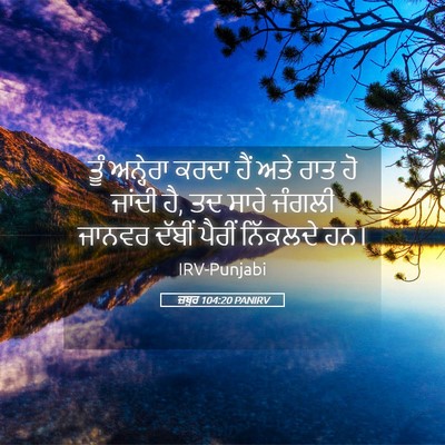 Picture 05 - ਜ਼ਬੂਰ 104:20 PANIRV - ਤੂੰ ਅਨ੍ਹੇਰਾ ਕਰਦਾ - Bible Verse Picture