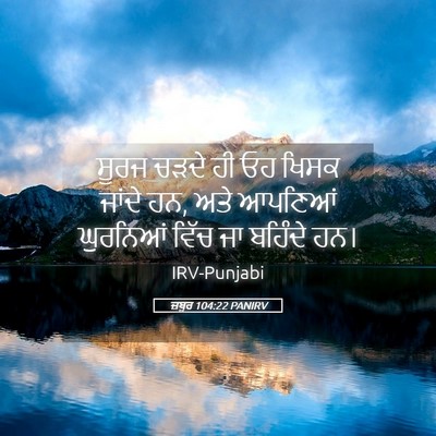 Picture 05 - ਜ਼ਬੂਰ 104:22 PANIRV - ਸੂਰਜ ਚੜਦੇ ਹੀ ਓਹ - Bible Verse Picture