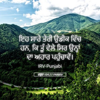 Picture 05 - ਜ਼ਬੂਰ 104:27 PANIRV - ਇਹ ਸਾਰੇ ਤੇਰੀ ਉਡੀਕ - Bible Verse Picture