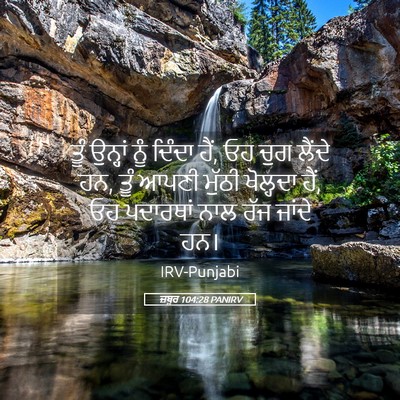 Picture 05 - ਜ਼ਬੂਰ 104:28 PANIRV - ਤੂੰ ਉਨ੍ਹਾਂ ਨੂੰ - Bible Verse Picture