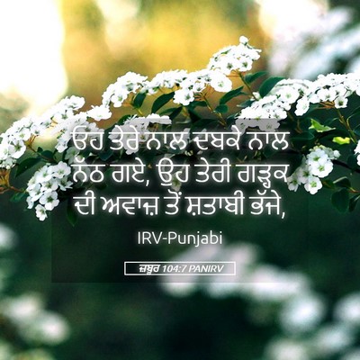 Picture 05 - ਜ਼ਬੂਰ 104:7 PANIRV - ਓਹ ਤੇਰੇ ਨਾਲ ਦਬਕੇ - Bible Verse Picture