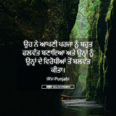 Picture 05 - ਜ਼ਬੂਰ 105:24 PANIRV - ਉਹ ਨੇ ਆਪਣੀ ਪਰਜਾ ਨੂੰ - Bible Verse Picture