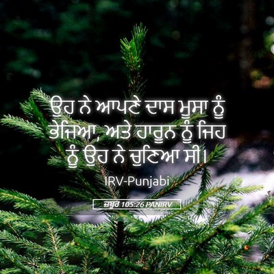Picture 05 - ਜ਼ਬੂਰ 105:26 PANIRV - ਉਹ ਨੇ ਆਪਣੇ ਦਾਸ ਮੂਸਾ - Bible Verse Picture