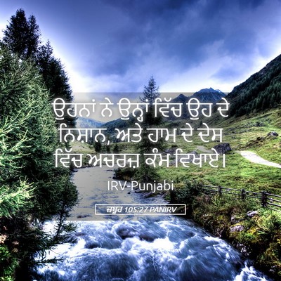 Picture 05 - ਜ਼ਬੂਰ 105:27 PANIRV - ਉਹਨਾਂ ਨੇ ਉਨ੍ਹਾਂ - Bible Verse Picture