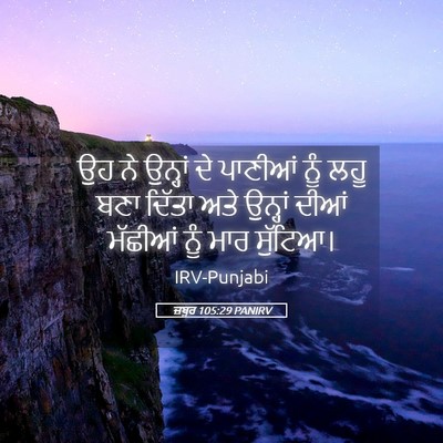 Picture 05 - ਜ਼ਬੂਰ 105:29 PANIRV - ਉਹ ਨੇ ਉਨ੍ਹਾਂ ਦੇ - Bible Verse Picture
