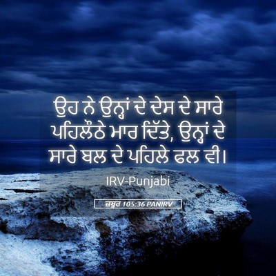 Picture 05 - ਜ਼ਬੂਰ 105:36 PANIRV - ਉਹ ਨੇ ਉਨ੍ਹਾਂ ਦੇ ਦੇਸ - Bible Verse Picture