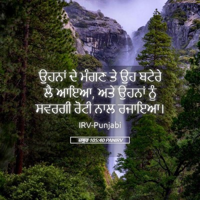 Picture 05 - ਜ਼ਬੂਰ 105:40 PANIRV - ਉਹਨਾਂ ਦੇ ਮੰਗਣ ਤੇ ਉਹ - Bible Verse Picture