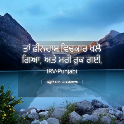 Picture 05 - ਜ਼ਬੂਰ 106:30 PANIRV - ਤਾਂ ਫ਼ੀਨਹਾਸ - Bible Verse Picture