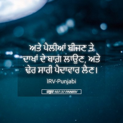 Picture 05 - ਜ਼ਬੂਰ 107:37 PANIRV - ਅਤੇ ਪੈਲੀਆਂ ਬੀਜਣ ਤੇ - Bible Verse Picture