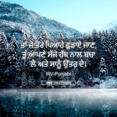 Picture 05 - ਜ਼ਬੂਰ 108:6 PANIRV - ਤਾਂ ਜੋ ਤੇਰੇ ਪਿਆਰੇ - Bible Verse Picture