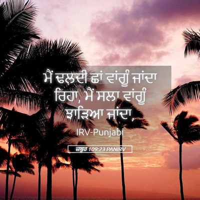 Picture 05 - ਜ਼ਬੂਰ 109:23 PANIRV - ਮੈਂ ਢਲਦੀ ਛਾਂ - Bible Verse Picture