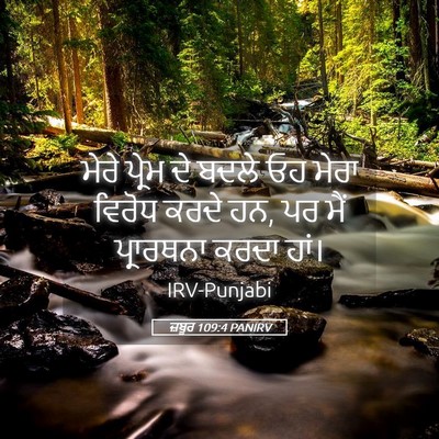 Picture 05 - ਜ਼ਬੂਰ 109:4 PANIRV - ਮੇਰੇ ਪ੍ਰੇਮ ਦੇ ਬਦਲੇ - Bible Verse Picture