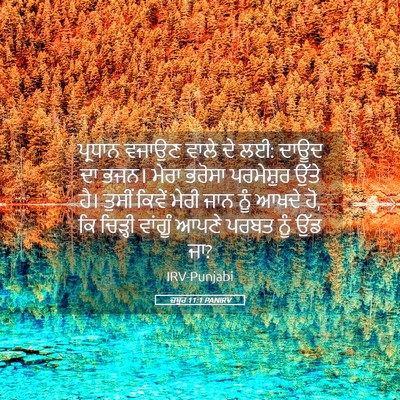 Picture 05 - ਜ਼ਬੂਰ 11:1 PANIRV - ਪ੍ਰਧਾਨ ਵਜਾਉਣ ਵਾਲੇ - Bible Verse Picture
