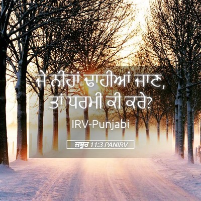 Picture 05 - ਜ਼ਬੂਰ 11:3 PANIRV - ਜੇ ਨੀਹਾਂ ਢਾਹੀਆਂ - Bible Verse Picture