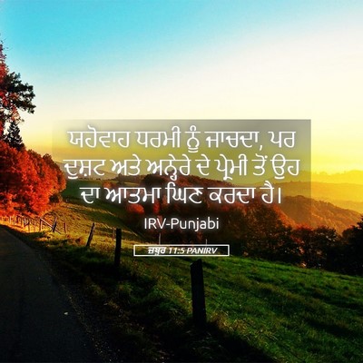 Picture 05 - ਜ਼ਬੂਰ 11:5 PANIRV - ਯਹੋਵਾਹ ਧਰਮੀ ਨੂੰ - Bible Verse Picture