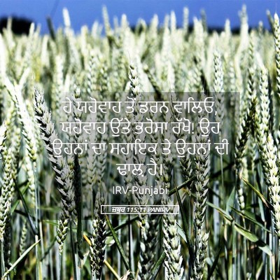 Picture 05 - ਜ਼ਬੂਰ 115:11 PANIRV - ਹੇ ਯਹੋਵਾਹ ਤੋਂ ਡਰਨ - Bible Verse Picture