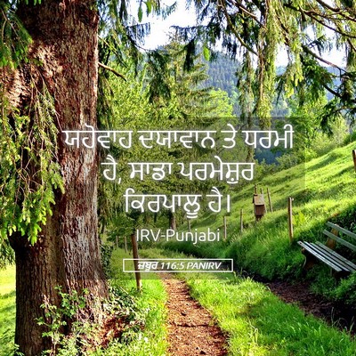 Picture 05 - ਜ਼ਬੂਰ 116:5 PANIRV - ਯਹੋਵਾਹ ਦਯਾਵਾਨ ਤੇ - Bible Verse Picture