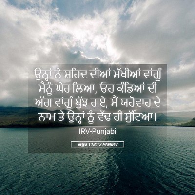 Picture 05 - ਜ਼ਬੂਰ 118:12 PANIRV - ਉਨ੍ਹਾਂ ਨੇ ਸ਼ਹਿਦ - Bible Verse Picture