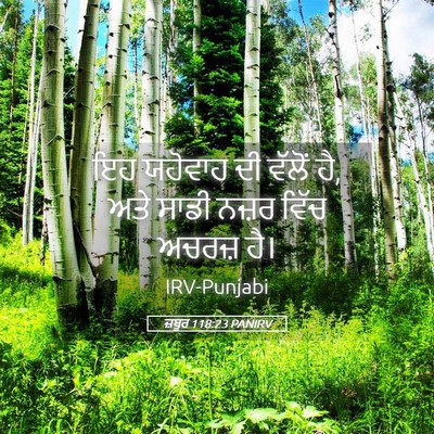 Picture 05 - ਜ਼ਬੂਰ 118:23 PANIRV - ਇਹ ਯਹੋਵਾਹ ਦੀ ਵੱਲੋਂ - Bible Verse Picture