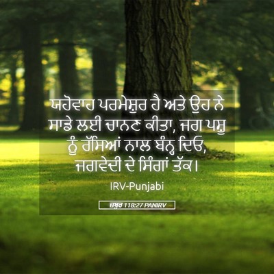 Picture 05 - ਜ਼ਬੂਰ 118:27 PANIRV - ਯਹੋਵਾਹ ਪਰਮੇਸ਼ੁਰ - Bible Verse Picture