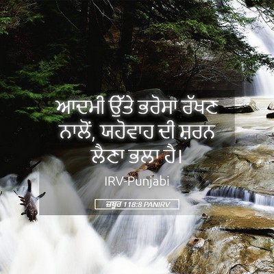 Picture 05 - ਜ਼ਬੂਰ 118:8 PANIRV - ਆਦਮੀ ਉੱਤੇ ਭਰੋਸਾ - Bible Verse Picture