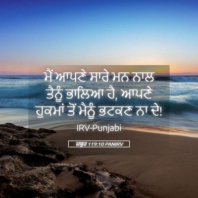 Picture 05 - ਜ਼ਬੂਰ 119:10 PANIRV - ਮੈਂ ਆਪਣੇ ਸਾਰੇ ਮਨ - Bible Verse Picture