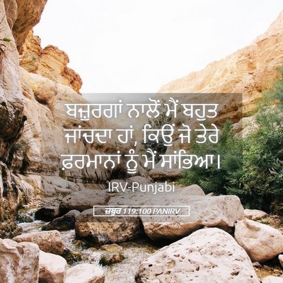 Picture 05 - ਜ਼ਬੂਰ 119:100 PANIRV - ਬਜ਼ੁਰਗਾਂ ਨਾਲੋਂ - Bible Verse Picture
