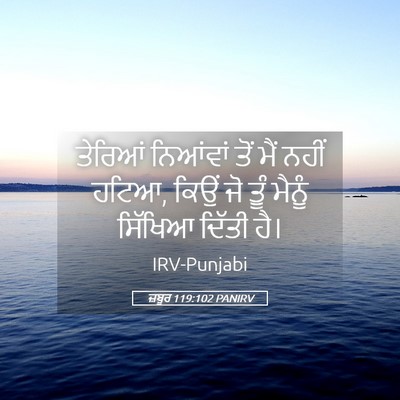 Picture 05 - ਜ਼ਬੂਰ 119:102 PANIRV - ਤੇਰਿਆਂ ਨਿਆਂਵਾਂ - Bible Verse Picture