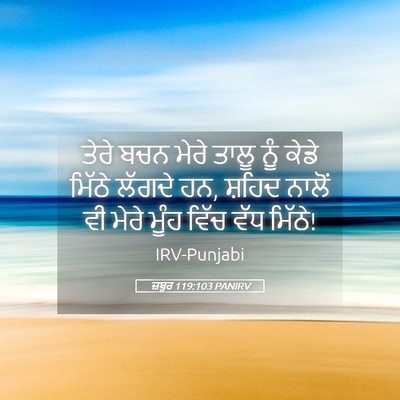 Picture 05 - ਜ਼ਬੂਰ 119:103 PANIRV - ਤੇਰੇ ਬਚਨ ਮੇਰੇ ਤਾਲੂ - Bible Verse Picture