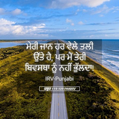 Picture 05 - ਜ਼ਬੂਰ 119:109 PANIRV - ਮੇਰੀ ਜਾਨ ਹਰ ਵੇਲੇ - Bible Verse Picture