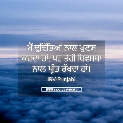 Picture 05 - ਜ਼ਬੂਰ 119:113 PANIRV - ਮੈਂ ਦੁਚਿੱਤਿਆਂ ਨਾਲ - Bible Verse Picture