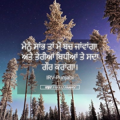 Picture 05 - ਜ਼ਬੂਰ 119:117 PANIRV - ਮੈਨੂੰ ਸਾਂਭ ਤਾਂ ਮੈਂ - Bible Verse Picture