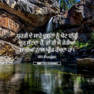 Picture 05 - ਜ਼ਬੂਰ 119:119 PANIRV - ਧਰਤੀ ਦੇ ਸਾਰੇ - Bible Verse Picture
