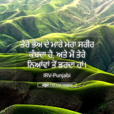 Picture 05 - ਜ਼ਬੂਰ 119:120 PANIRV - ਤੇਰੇ ਭੈਅ ਦੇ ਮਾਰੇ - Bible Verse Picture