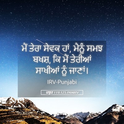 Picture 05 - ਜ਼ਬੂਰ 119:125 PANIRV - ਮੈਂ ਤੇਰਾ ਸੇਵਕ ਹਾਂ, - Bible Verse Picture