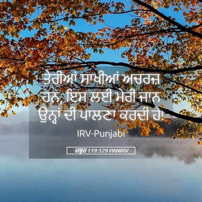 Picture 05 - ਜ਼ਬੂਰ 119:129 PANIRV - ਤੇਰੀਆਂ ਸਾਖੀਆਂ - Bible Verse Picture