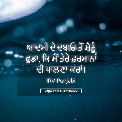 Picture 05 - ਜ਼ਬੂਰ 119:134 PANIRV - ਆਦਮੀ ਦੇ ਦਬਾਓ ਤੋਂ - Bible Verse Picture