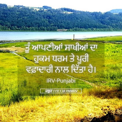 Picture 05 - ਜ਼ਬੂਰ 119:138 PANIRV - ਤੂੰ ਆਪਣੀਆਂ ਸਾਖੀਆਂ - Bible Verse Picture