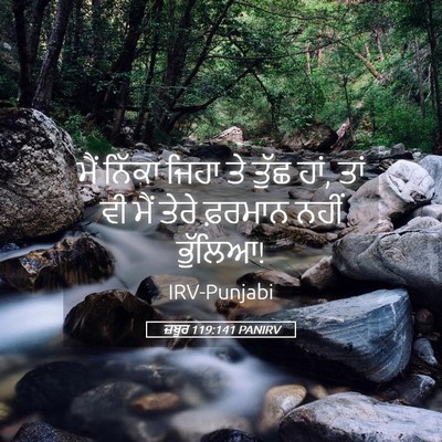Picture 05 - ਜ਼ਬੂਰ 119:141 PANIRV - ਮੈਂ ਨਿੱਕਾ ਜਿਹਾ ਤੇ - Bible Verse Picture