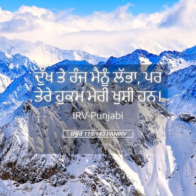 Picture 05 - ਜ਼ਬੂਰ 119:143 PANIRV - ਦੁੱਖ ਤੇ ਰੰਜ ਮੈਨੂੰ - Bible Verse Picture